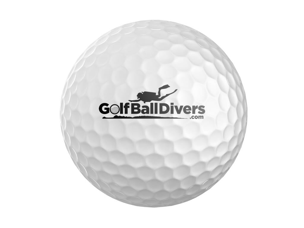 A Golf ball diver searching for image